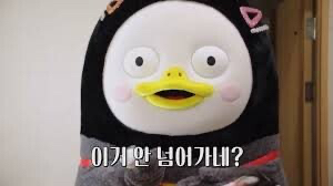 펭하(펭수 하이라는 뜻) | 인스티즈