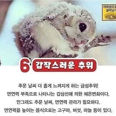 면역력 결핍일때 몸이 보내는 신호 | 인스티즈