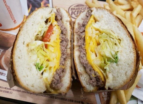 웃대 호쌍새 모음 | 인스티즈