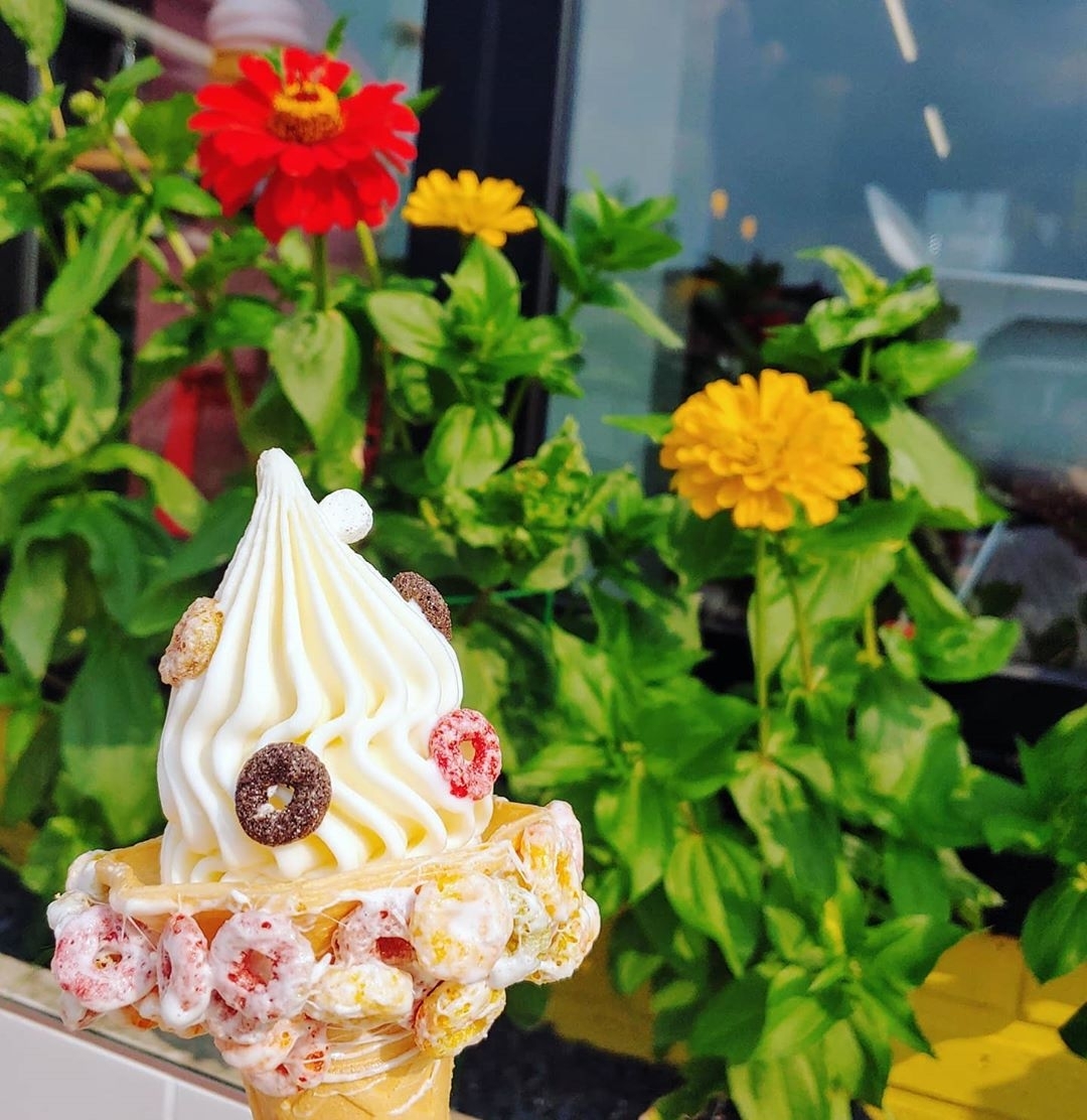 강원도에 있다는 아이스크림 카페........jpg | 인스티즈