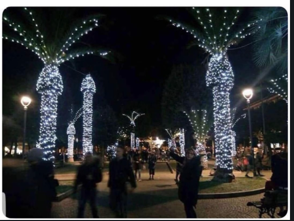 야자수로 크리스마스 트리를 만들면 안되는 이유 | 인스티즈