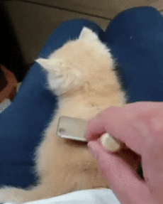 ff81d27ccf542583331fab568436e2e3ca2e249f