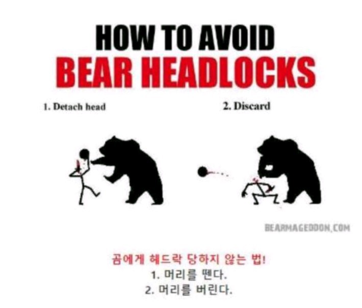 길가다 곰과 마주쳤을시 대처법 | 인스티즈