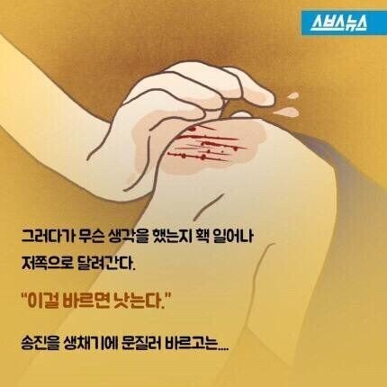 소설 소나기의 소녀가 죽은 이유 | 인스티즈