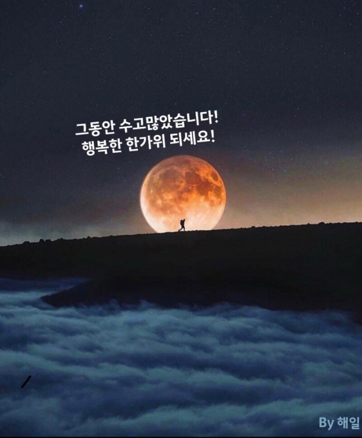 물드네일 이미지