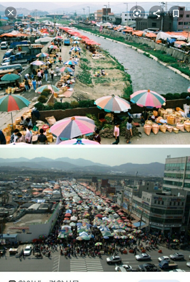 일진란제리 이미지