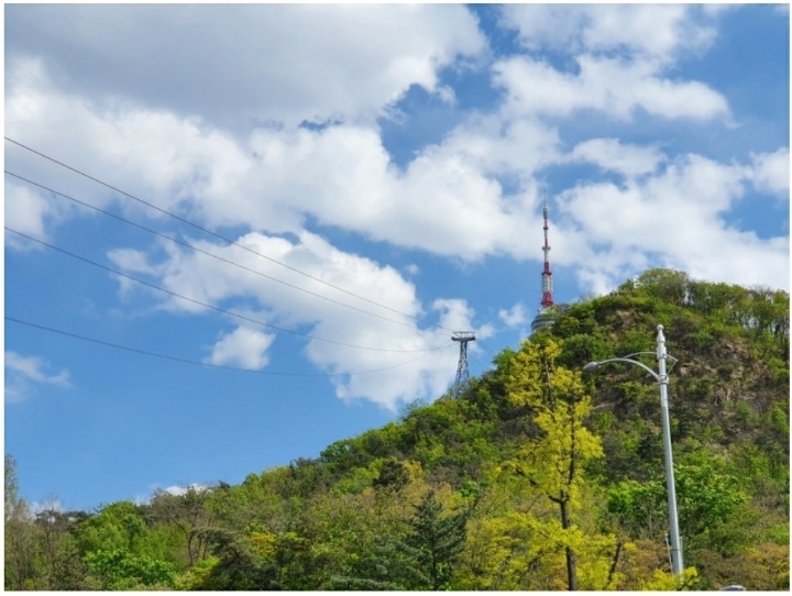 남산쭈꾸미 이미지