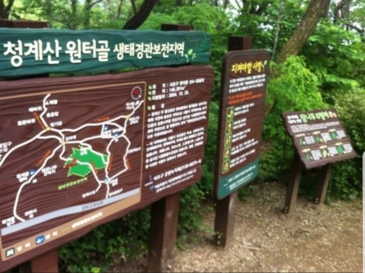 보아스식당 이미지