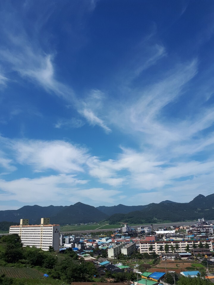 대길상회 이미지