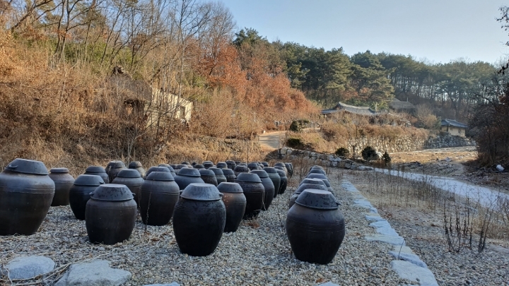 백송당 이미지