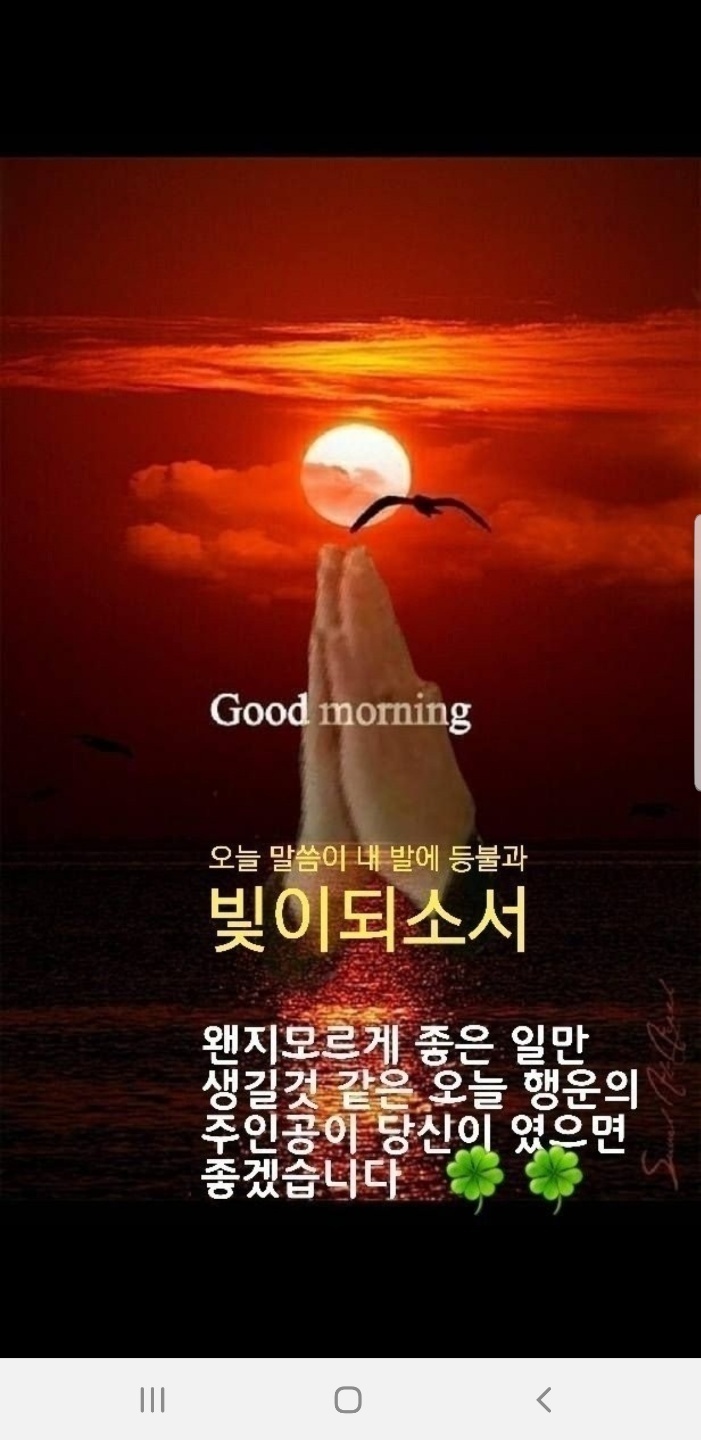 꽃님 이미지
