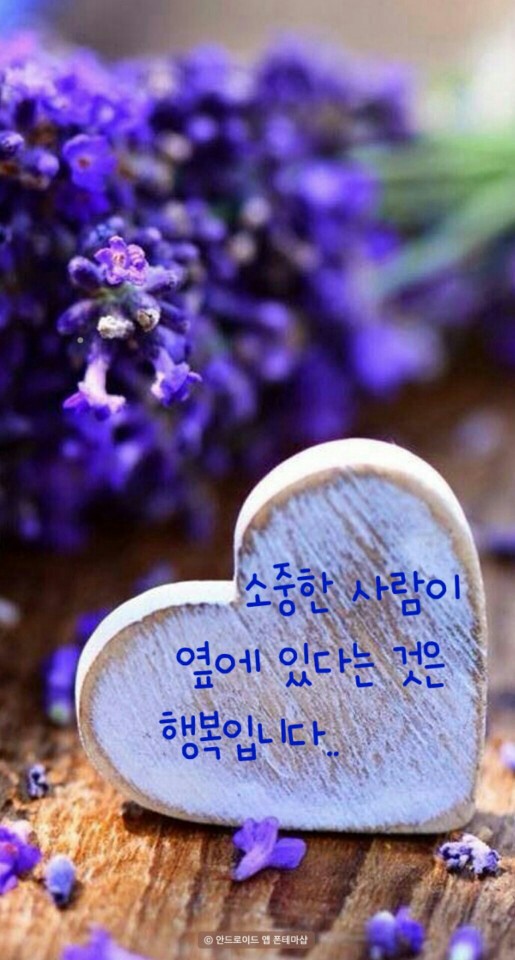 토박이 이미지