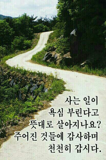 먹자판 이미지