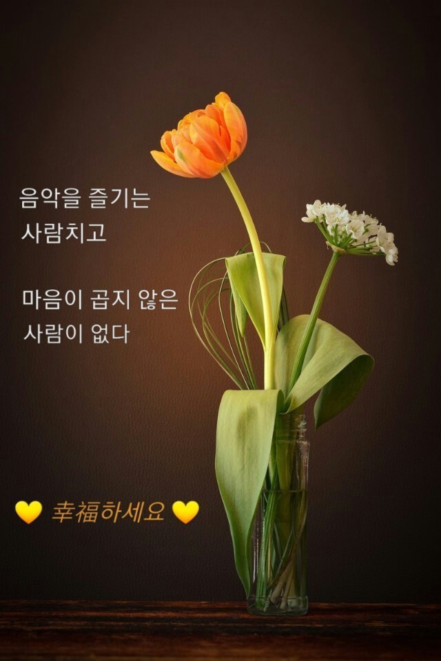 보아유 이미지