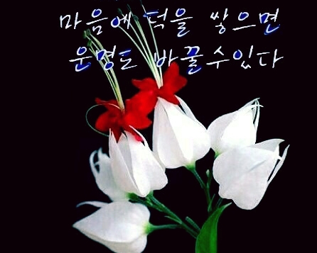 만남노래짱 이미지
