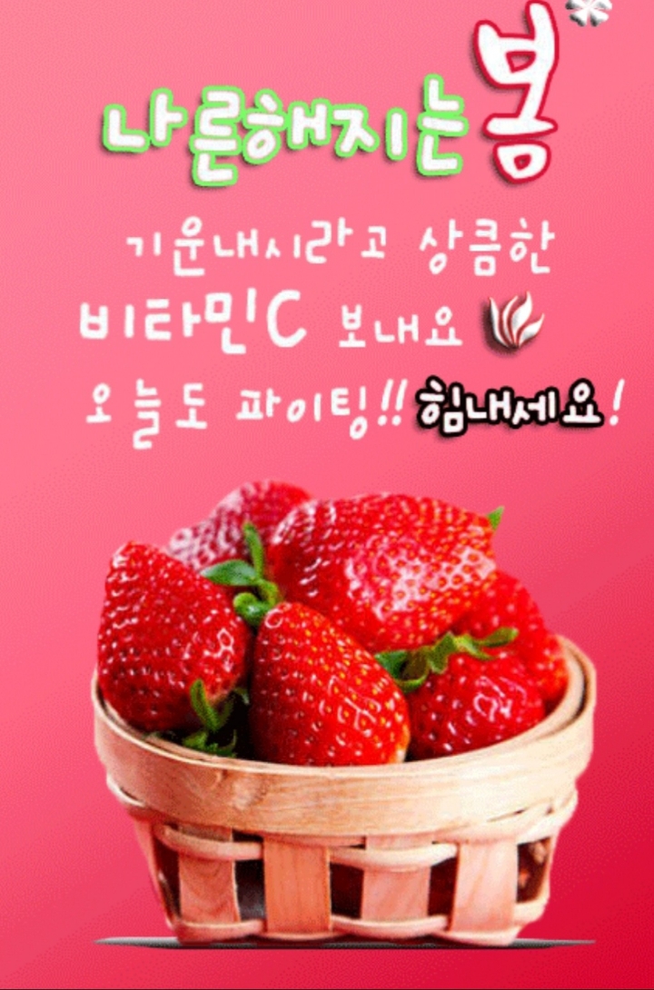 예쁜하루 이미지