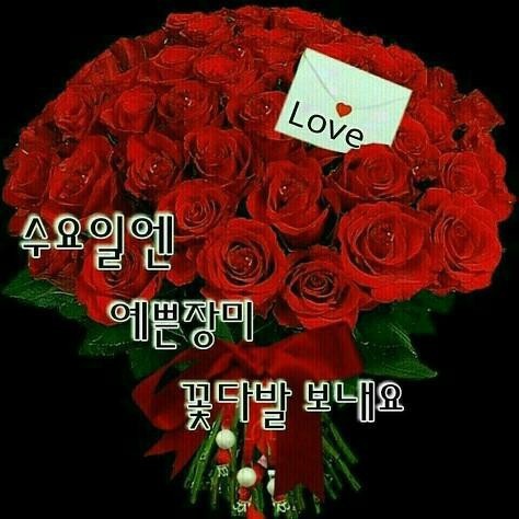 꽃향기 이미지