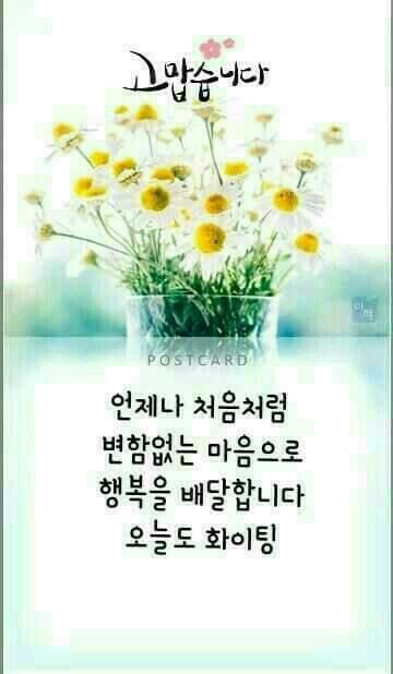 콩닥 이미지