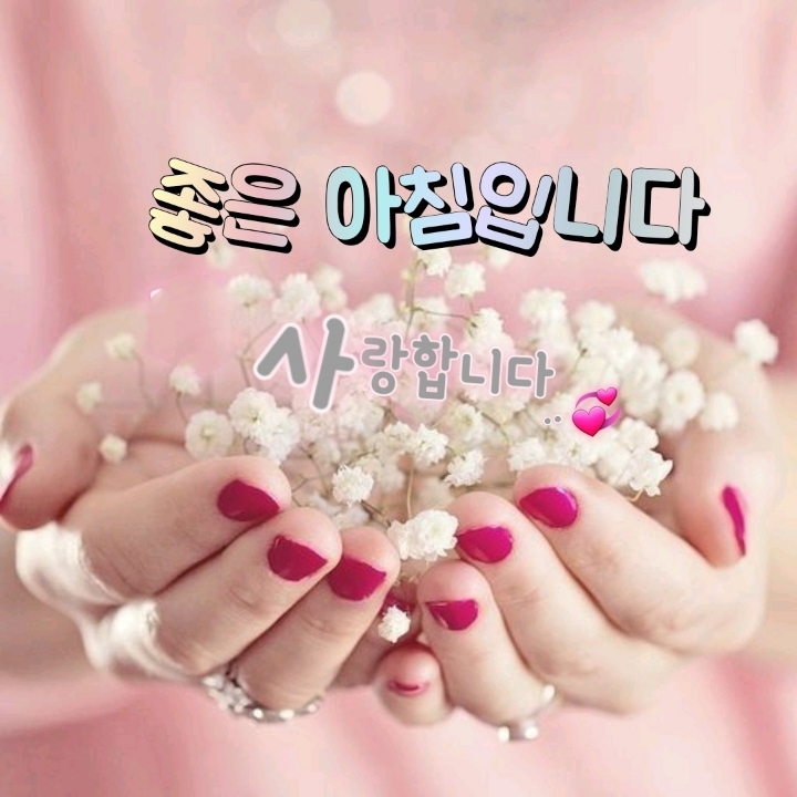 토닥토닥 이미지