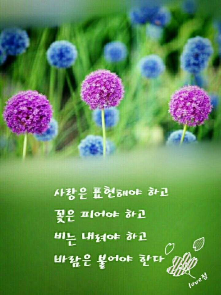 건강한하루 이미지