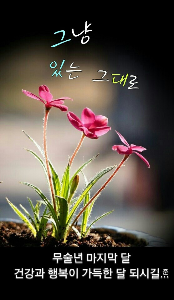 찬찬찬 이미지