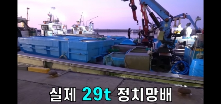 참치사냥 이미지