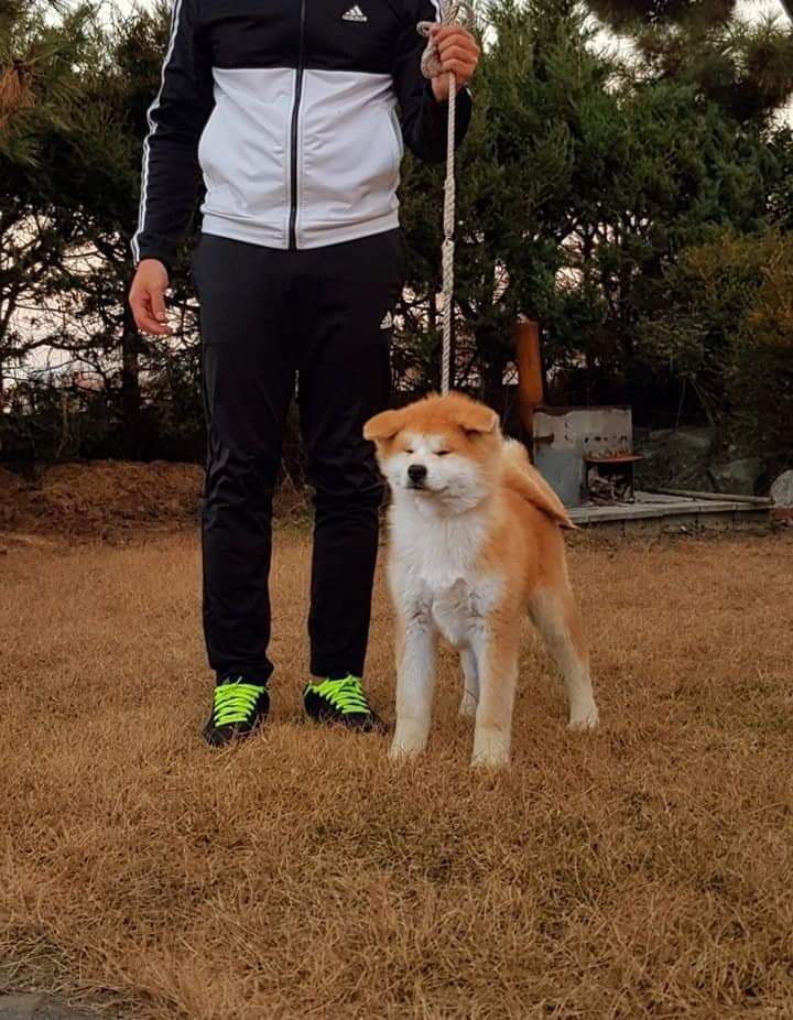 컷트맨 이미지