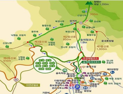 청태산 이미지