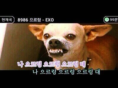 예티 이미지