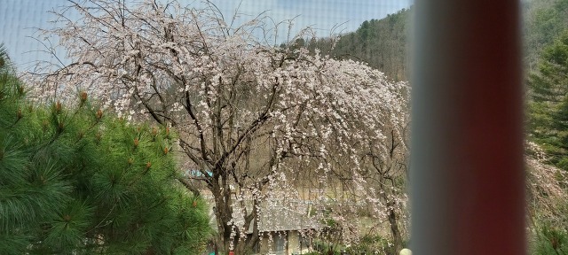 승우청소 이미지