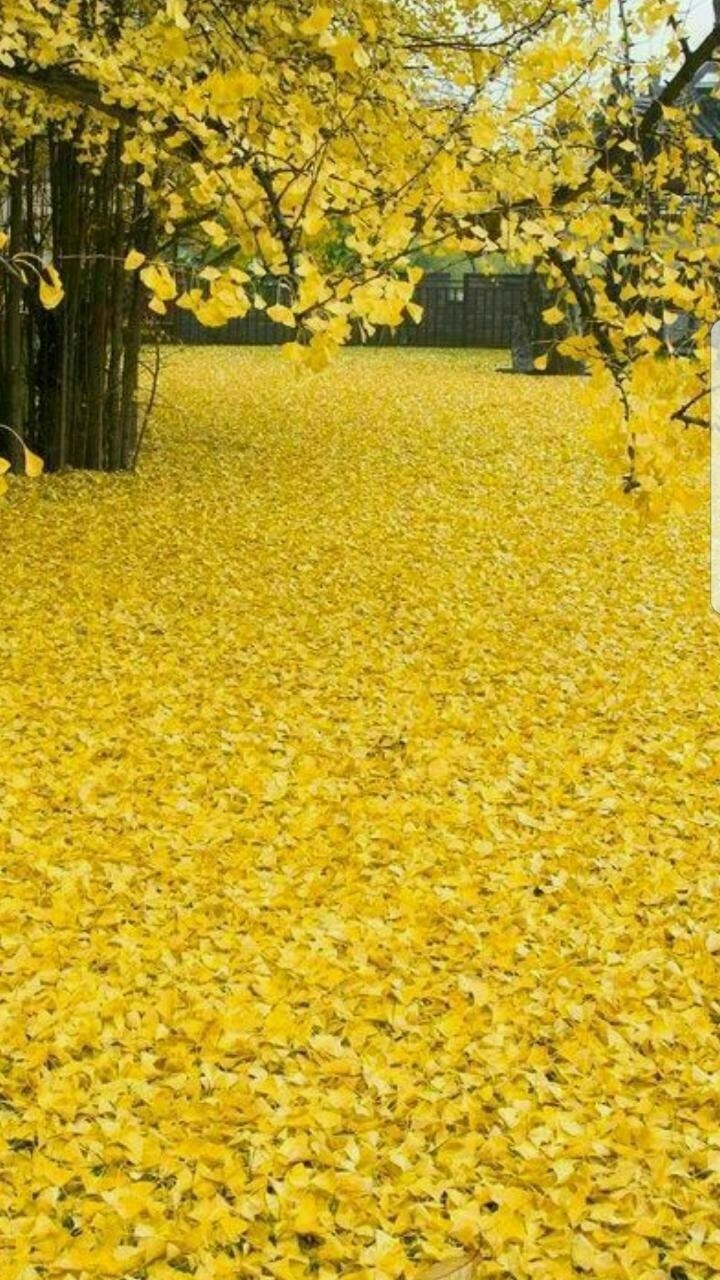 희주 이미지