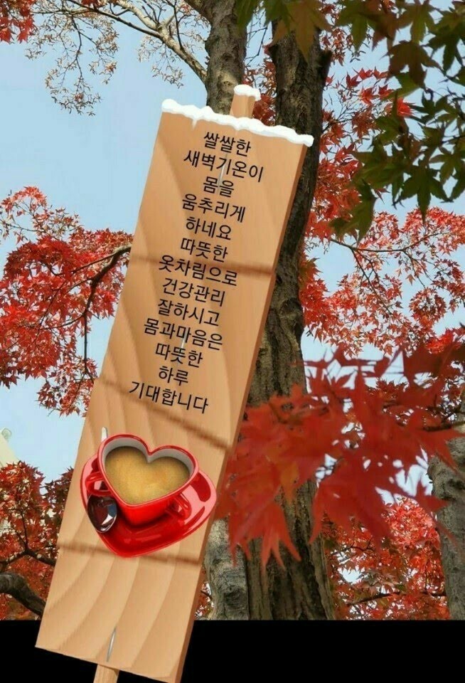 푸른향기 이미지
