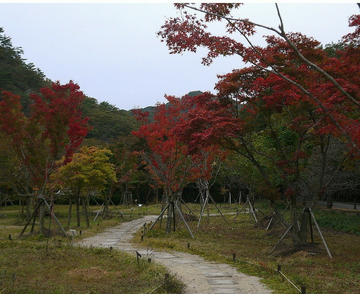 몽중인 이미지