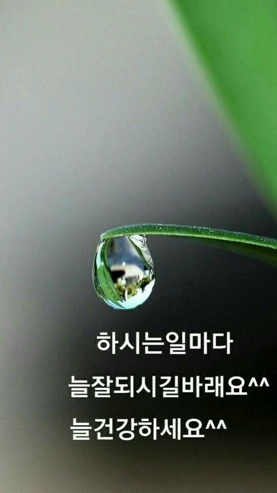 희주 이미지