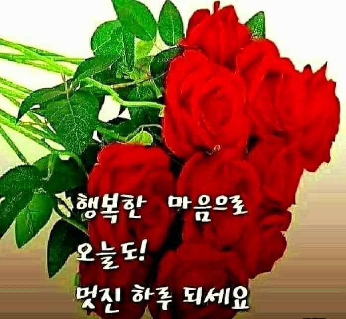 멋진하루 이미지