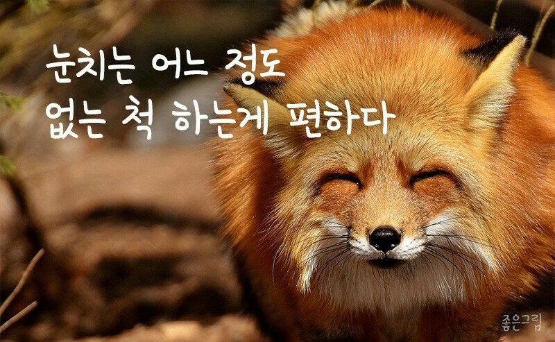공감 이미지