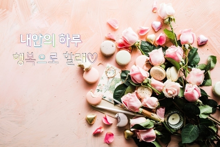 꽃 이미지