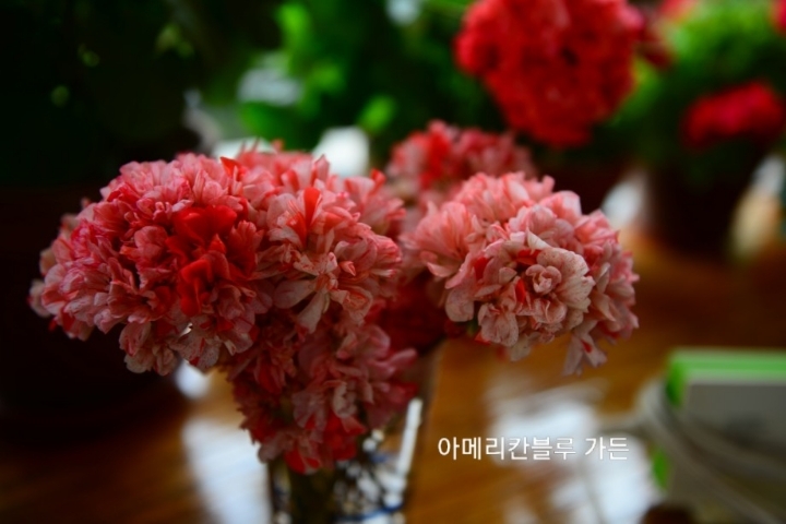 수지뷰티 이미지