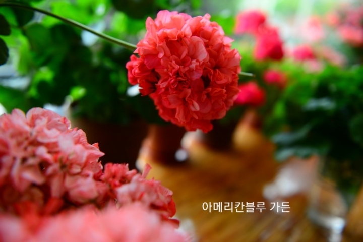 수지뷰티 이미지
