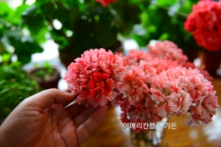 수지뷰티 이미지