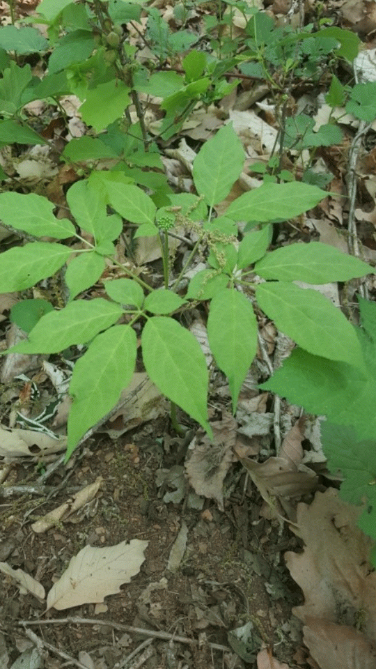 카페 프로필 이미지