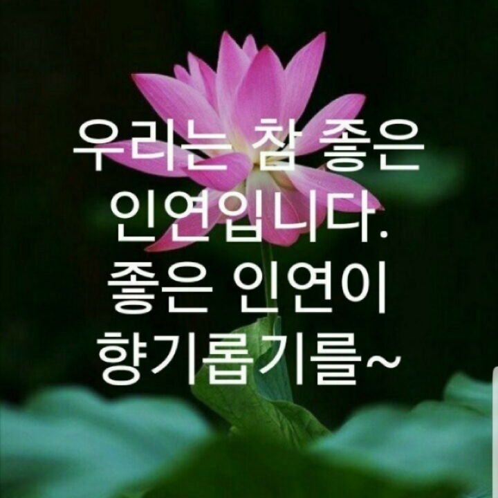 좋은인연 이미지