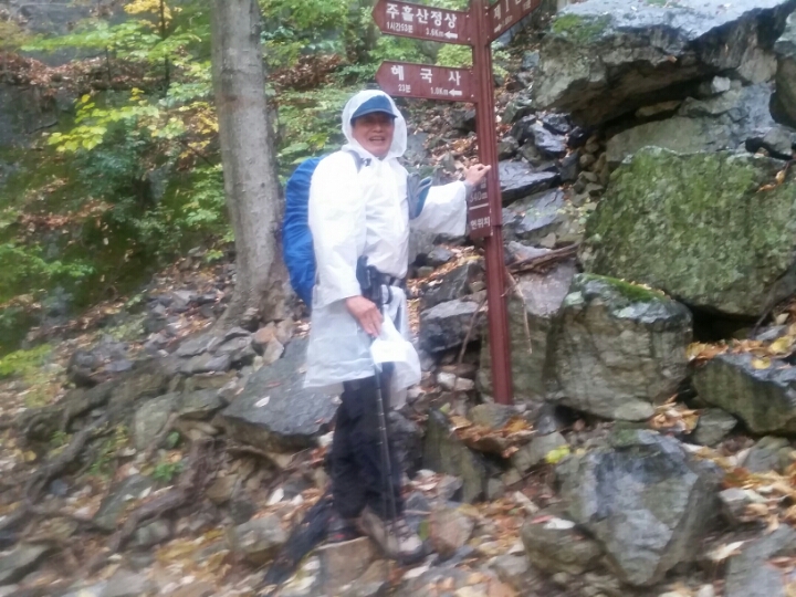 진산주 이미지
