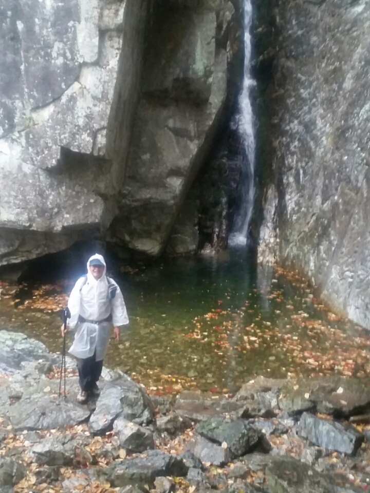 진산주 이미지