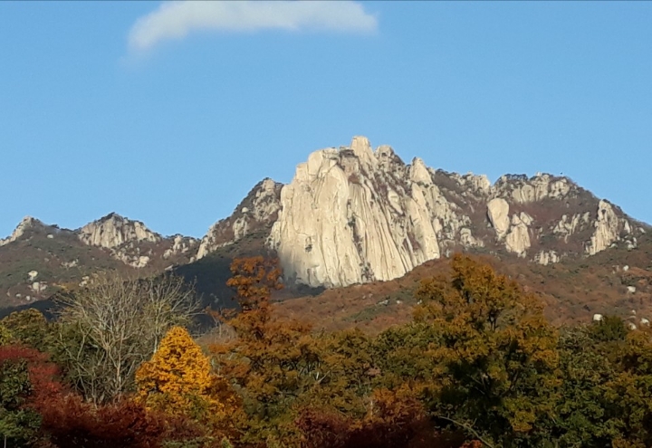 산길 이미지