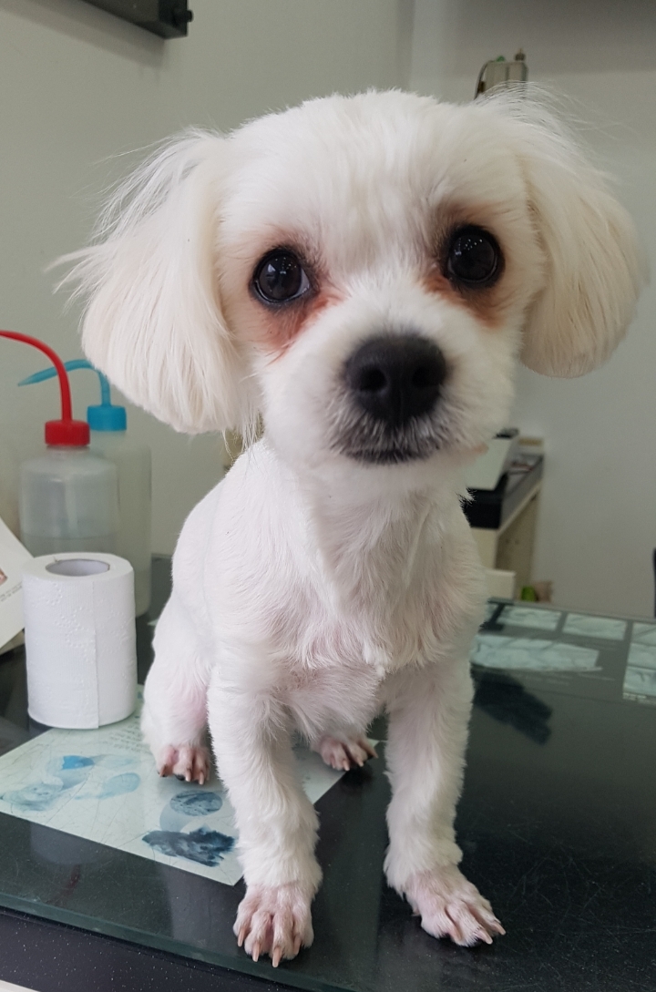 지금 이미지