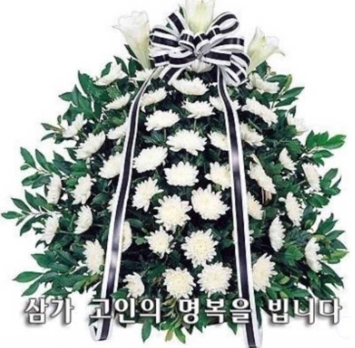 오로지 이미지