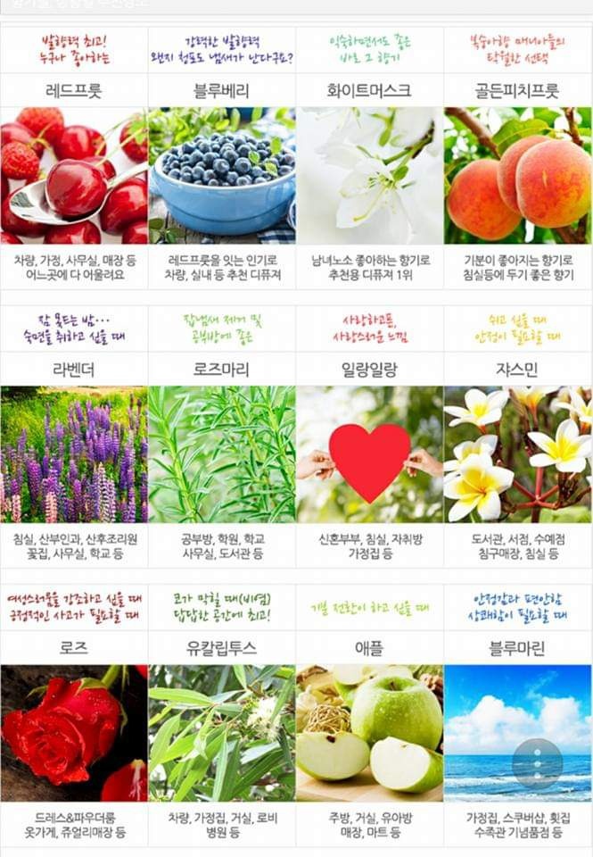 허브타임 이미지