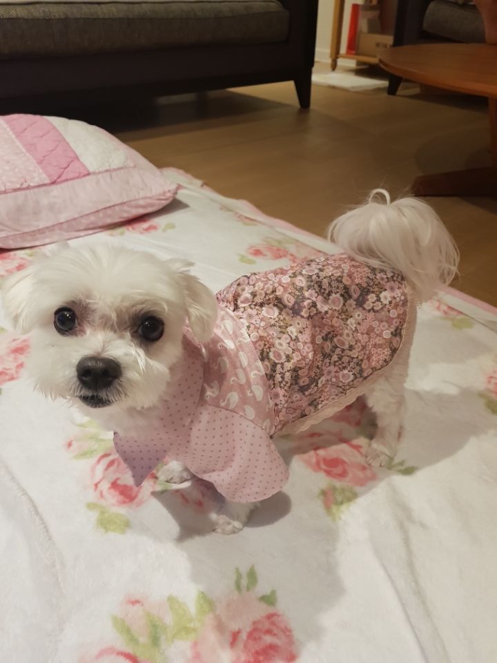 단비 이미지