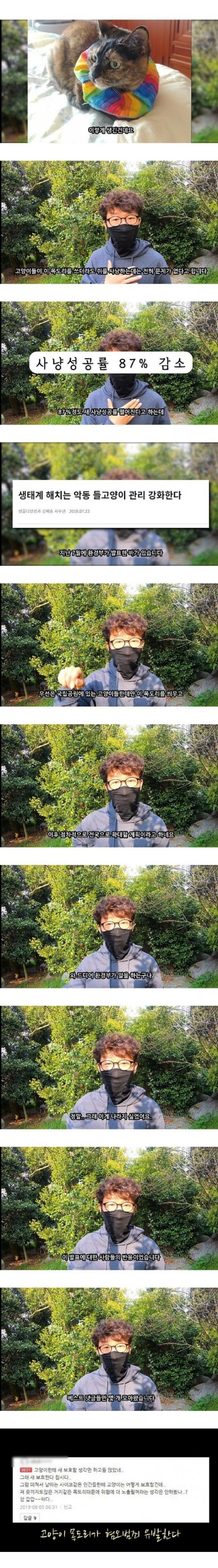 잘 안알려진 길고양이 문제 | 인스티즈